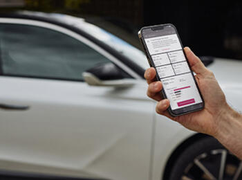 MY TRIP REPORT MY TRIP REPORT